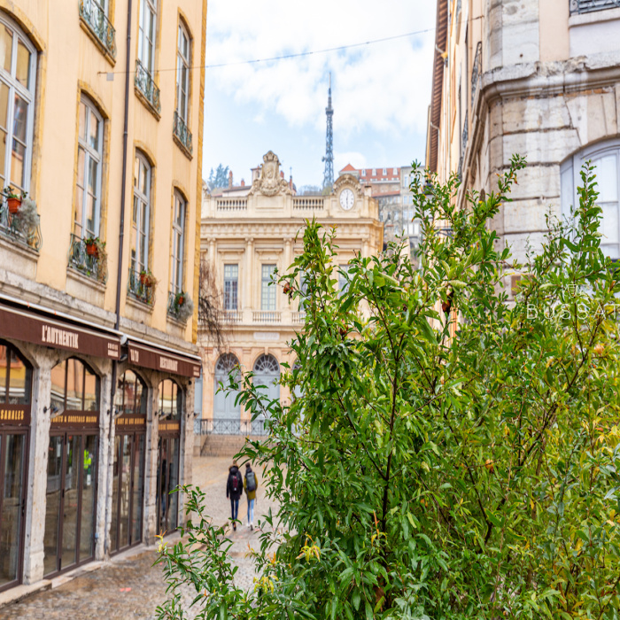 53 Rue Philippe De Lassalle 69004 Lyon